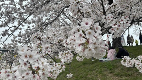 レッスンをはじめる前の気になること